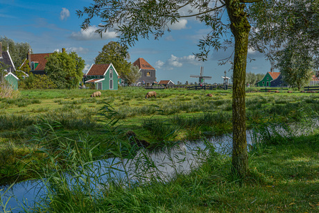 Zaanse Schans