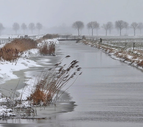 Winters polderlandlandschap
