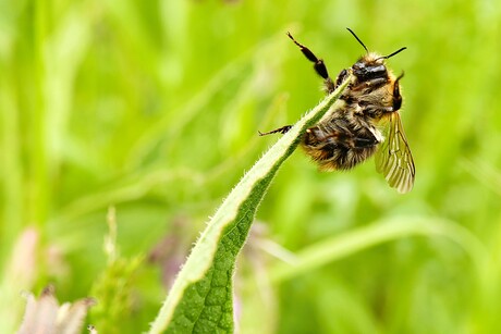 ooh, ik val bijna,,,,,
