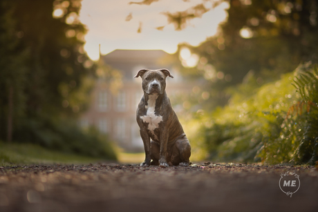 Queen of her castle