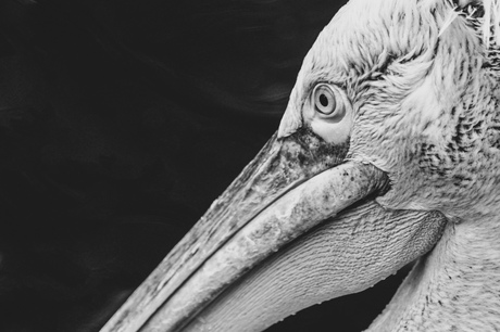 Tussen licht en leegte