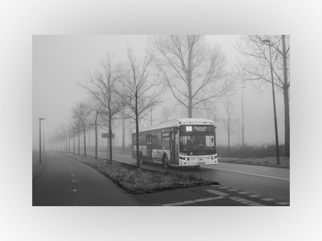 Lokaal transport gaat gewoon door. 