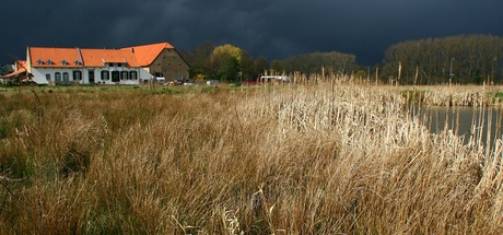 Net voor de hagelbui.