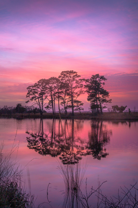 Zonsondergang aan het Dwingelderveld 