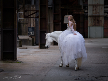 Prinses op het witte paard
