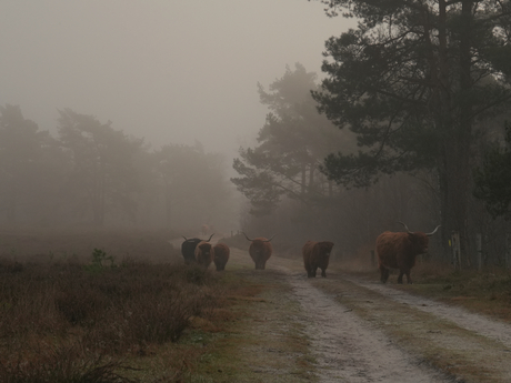 Blokje om