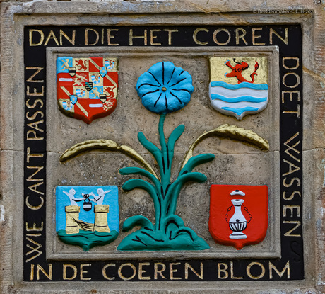 In de Coeren Blom een van de vele gevelstenen in Veere