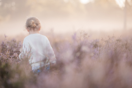 Kesselse Heide - 240825