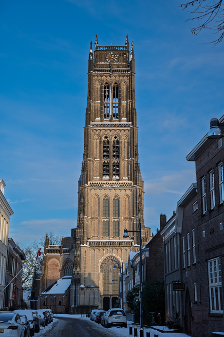 Winter in Zaltbommel