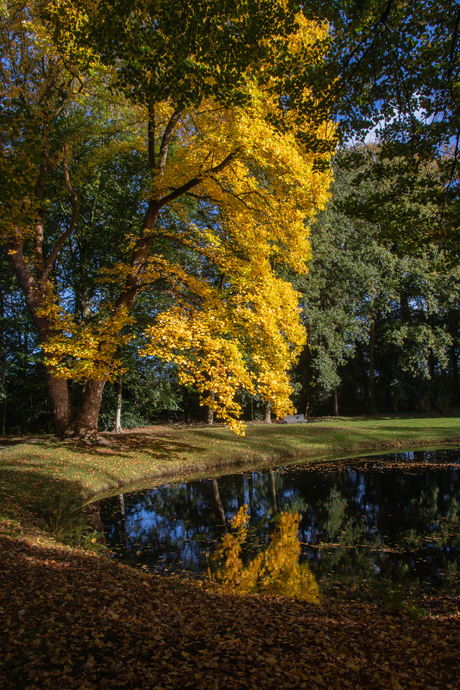 Herfst