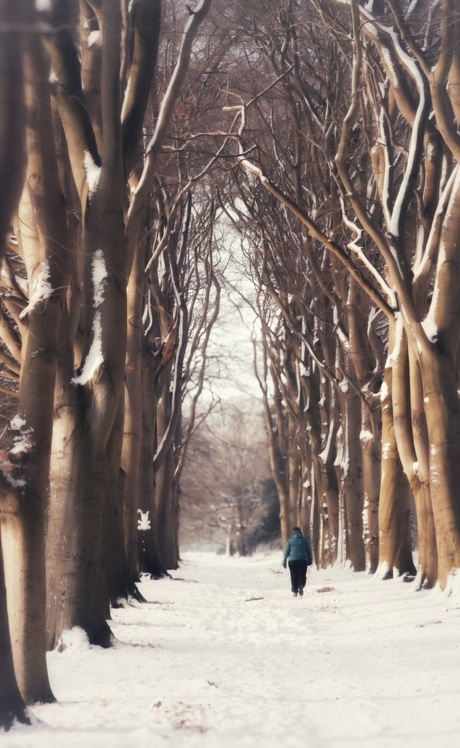 Genieten van een winterse wandeling