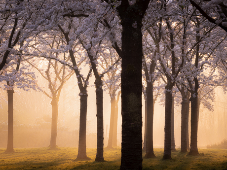 Sprookjesachtig deel 2