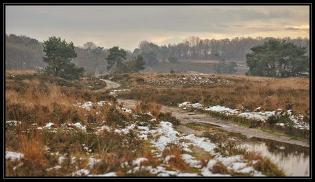 Holtingerveld (Havelte)