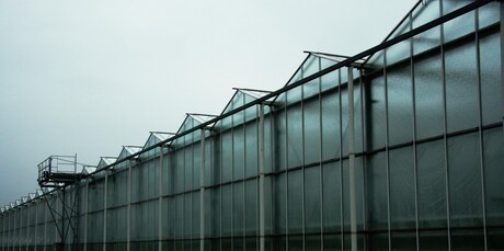 Houses of Glass