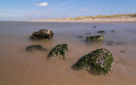 Dichtbij met super groothoek 4