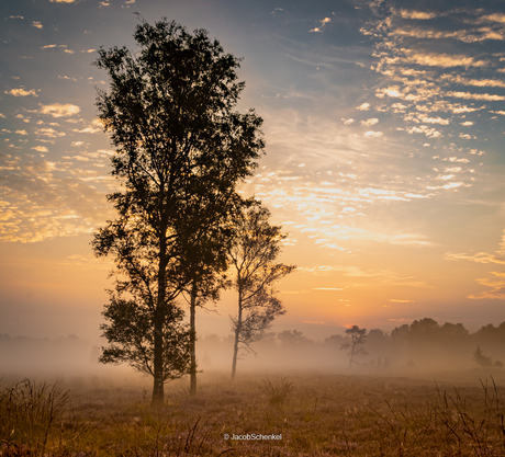 balloerveld vanmorgen