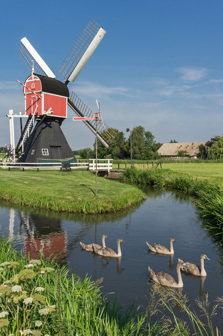 Molen Buitenweg Oud-Zuilen