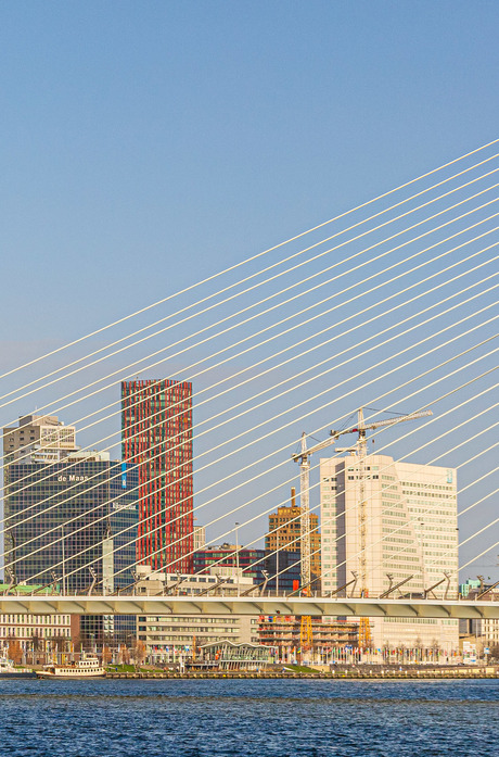 Verscholen achter de lijnen van de Erasmusbrug