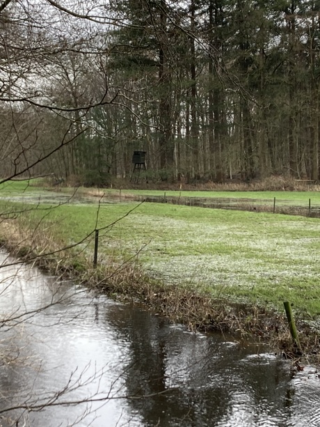 Veel water