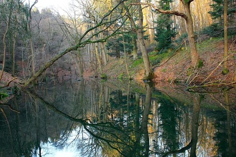 Mooie weerspiegeling