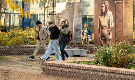 Was that you? No, you.