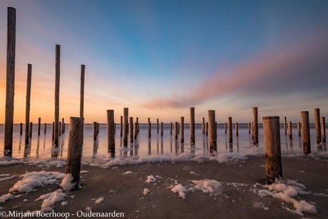 Palendorp Petten