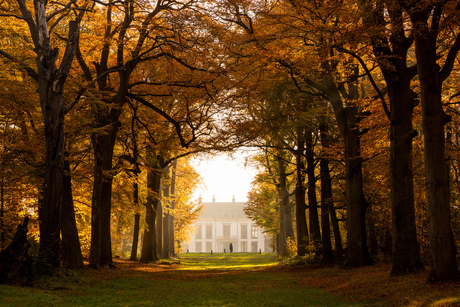 Autumn Mansion