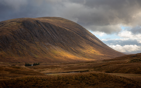 Wee White House