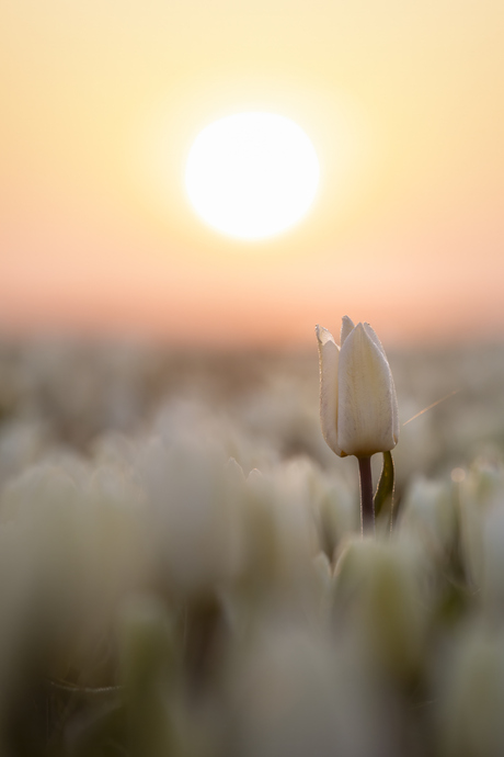 Here comes the sun...