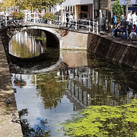 een van de vele grachten in Delft