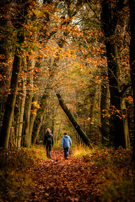 Herfstwandeling