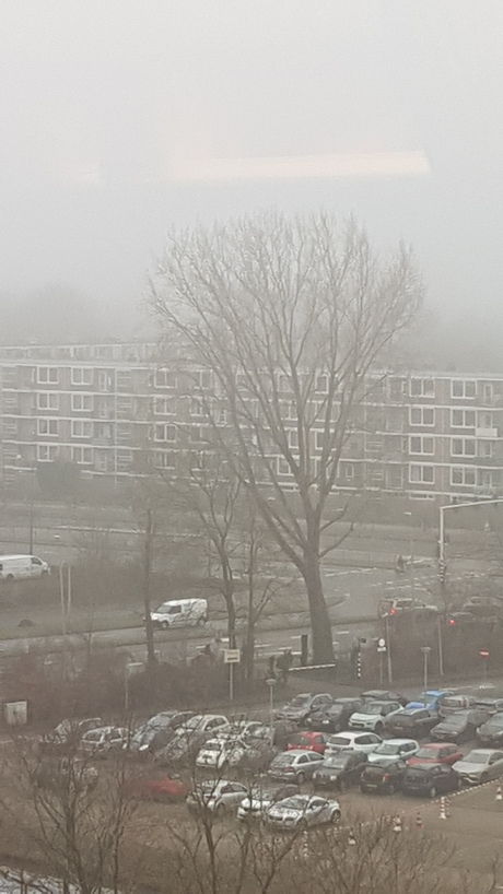 Wat een mist!!!