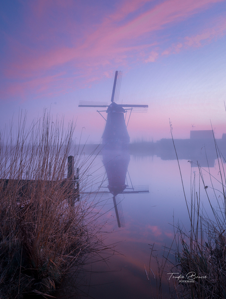 Winterochtend met kleur .. 