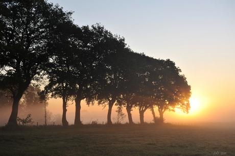 Opkomende zon