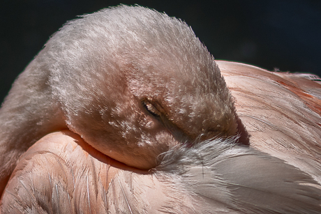 Even lekker dutje doen.