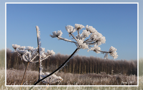 winter, ook in Assen