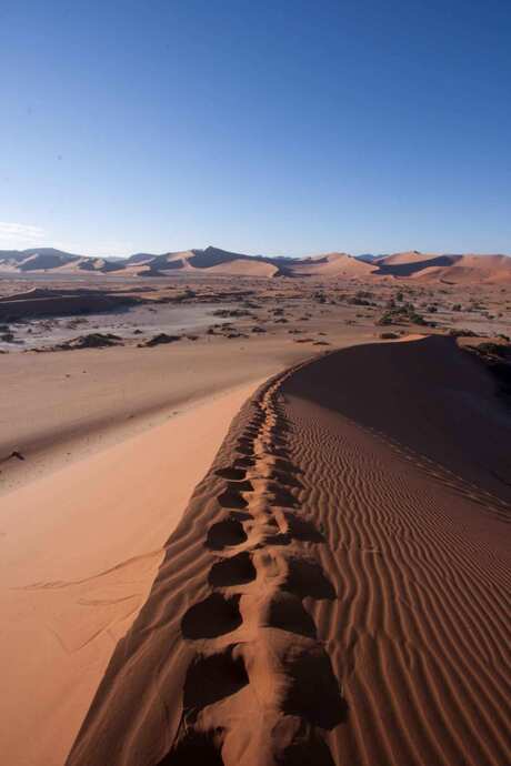 Rode duinen Namibië