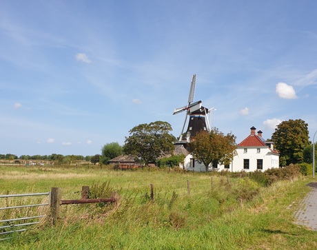 Groninger landschap