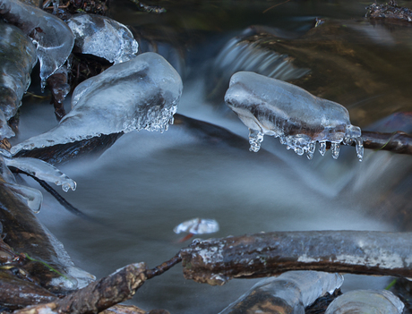 beek in de winter