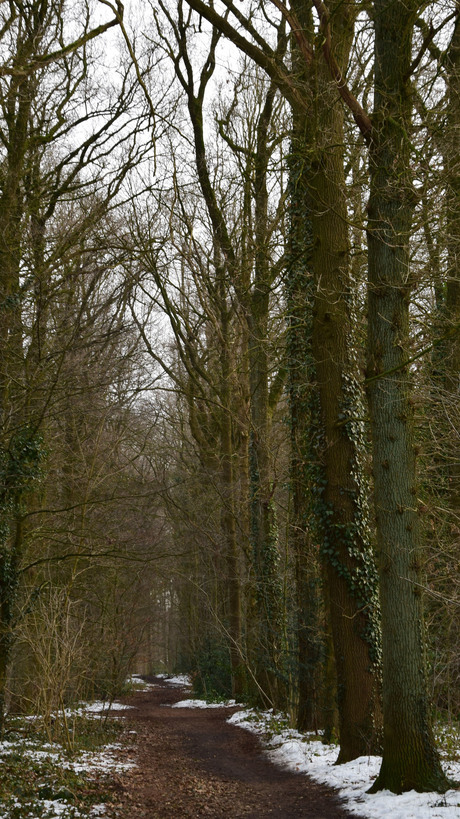 In de zomer lekker; in de winter koud en koel