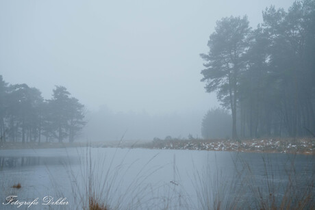 Mist Dwingelderveld 