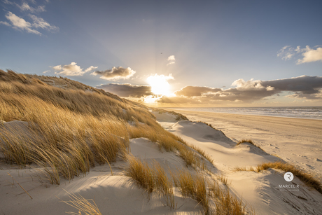 Waar het licht het overneemt 