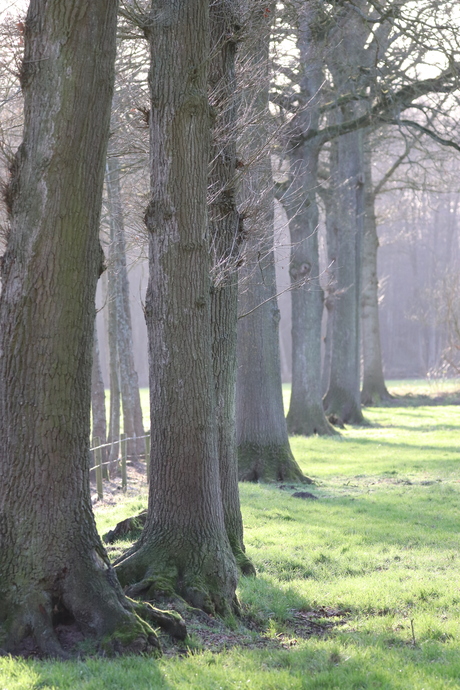 wandeling in eigen omgeving