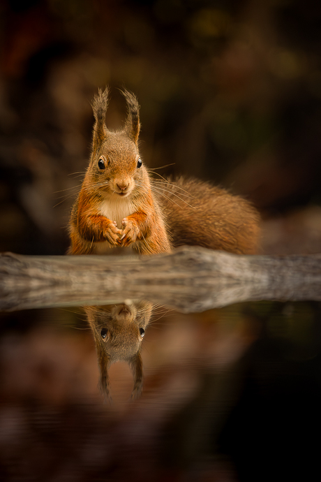 Spiegeltje, spiegeltje aan de wand