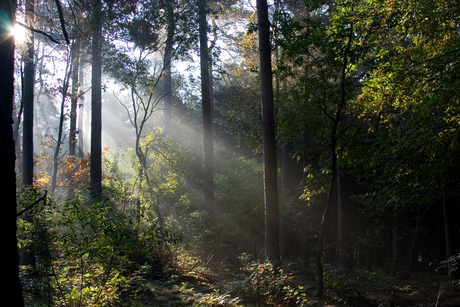 herfst