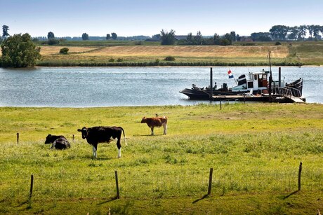 Hollandse zomer