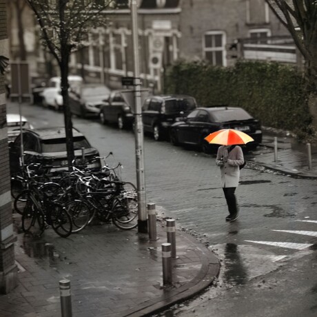 It’s Raining…….