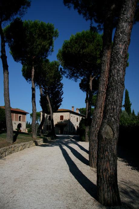 Toscane, Tenuta Mormoraia