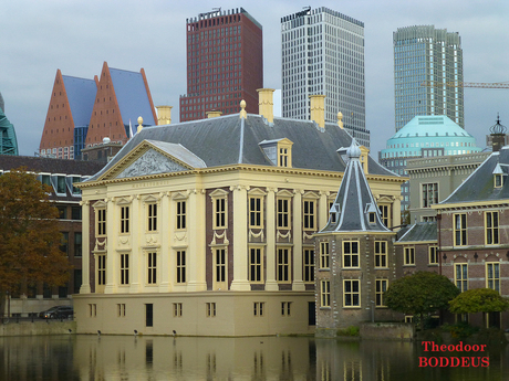 1410030746   mauritshuis 