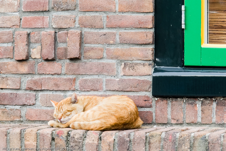 politiebureau Hilversum van architect Dudok